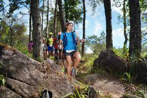 BIB: 
                            <button type="button" onclick="openModal(18957930)" class="btn btn-primary btn-sm float-right btn-popup" data-toggle="modal" data-target=".modal-high-quality">
                        <i class="fas fa-shopping-cart"></i> Add to Cart
                    </button>
                                            <button type="button" onclick="isThisMe(18957930, true)" class="btn btn-success btn-sm float-right btn-popup btn-isme hidden" data-toggle="tooltip" data-placement="bottom" title="นี่คือรูปของคุณใช่ไหม คลิกที่นี่เพื่อเอาเข้าอัลบั้ม">
                        <i class="fas fa-plus"></i> Add to album
                    </button>
                    <button type="button" onclick="isThisMe(18957930, false)" class="btn btn-warning btn-sm float-right btn-popup btn-isnotme hidden">
                        <i class="fas fa-ban"></i> Remove from album
                    </button>